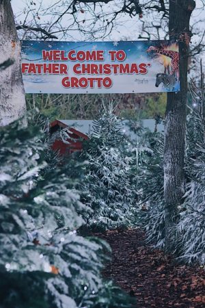Santas Grotto