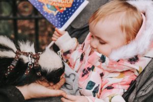 Molly and the skunk