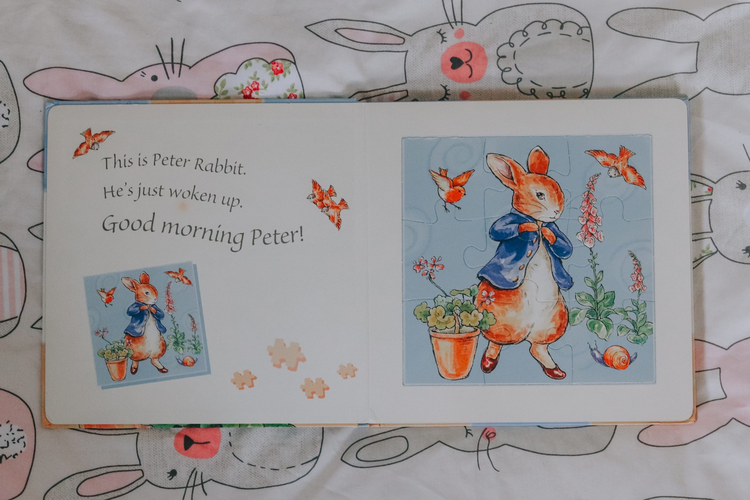 Peter Rabbit Puzzle Book